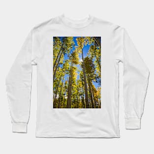 Quaking aspen (Populus tremuloides) in autumn (C034/4977) Long Sleeve T-Shirt